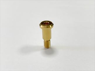 ホルダーピボットボルト アヴァンツァ用 チタンコート ホルダーピボットボルト アヴァンツァ用 チタンコート