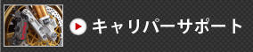 キャリパーサポート